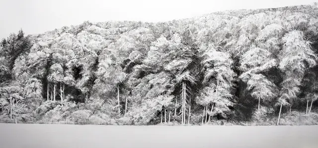"Wald" vonKi Youn Kim | Foto: Ki Youn Kim