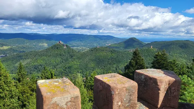 Vom Rehbergturm auf die Burgendreifaltigkeit | Foto: Ich