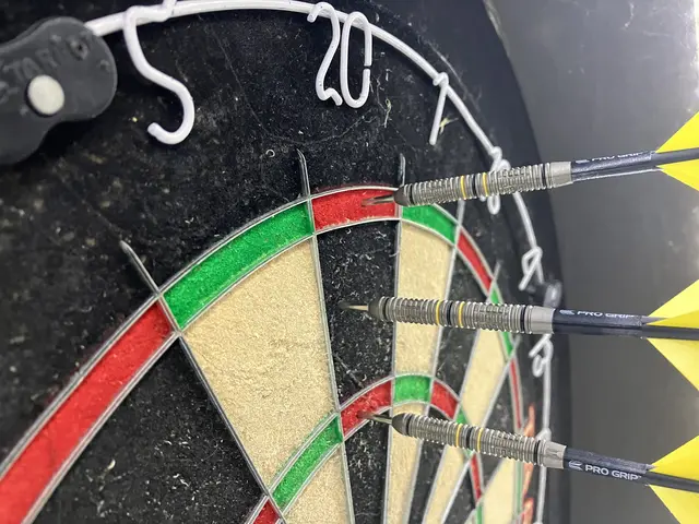 Hungarian Darts Trophy 2025: Mit dem 120er-Finish zum 5:5 legte Niko Springer den Grundstein für den Sieg über Danny Noppert im Finale | Foto: Stephanie Walter 