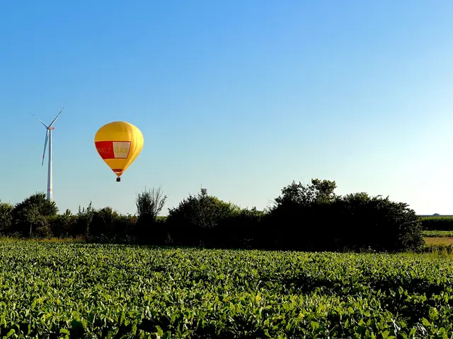 7 Heißluftballon im Landeanflug - Offenbach Queich | Foto: Tanja Hoffmann-Medardt
