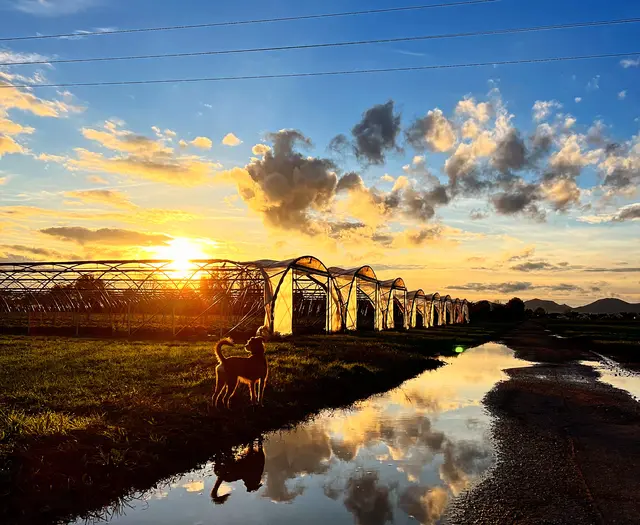 2 Offenbach an der Queich 
Nach Regen folgt Sonnenschein - Ein Spaziergang im November | Foto: Tanja Hoffmann-Medardt