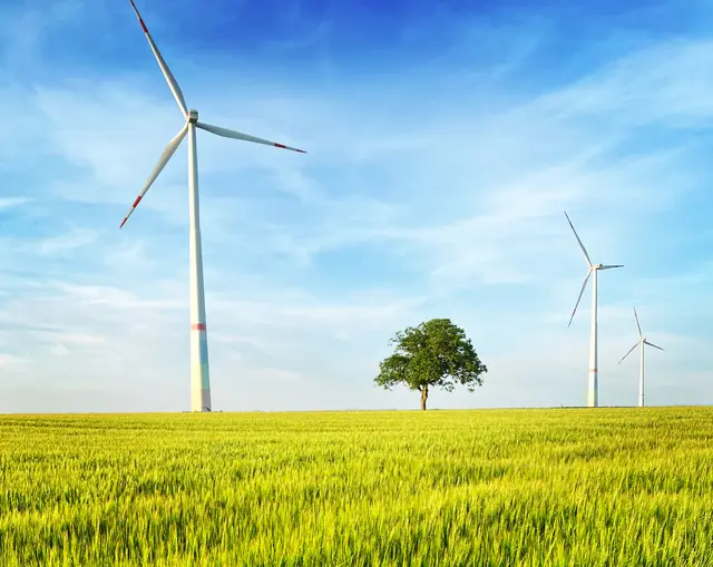 5 Natur trifft auf Windkraftanlage - Zwischen Offenbach und Herxheim | Foto: Tanja Hoffmann-Medardt