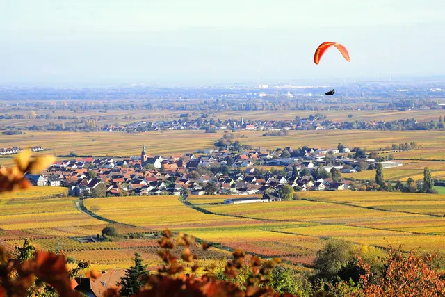 11 Über den Reben schweben bei Weyher in der Pfalz | Foto: Maike Müller