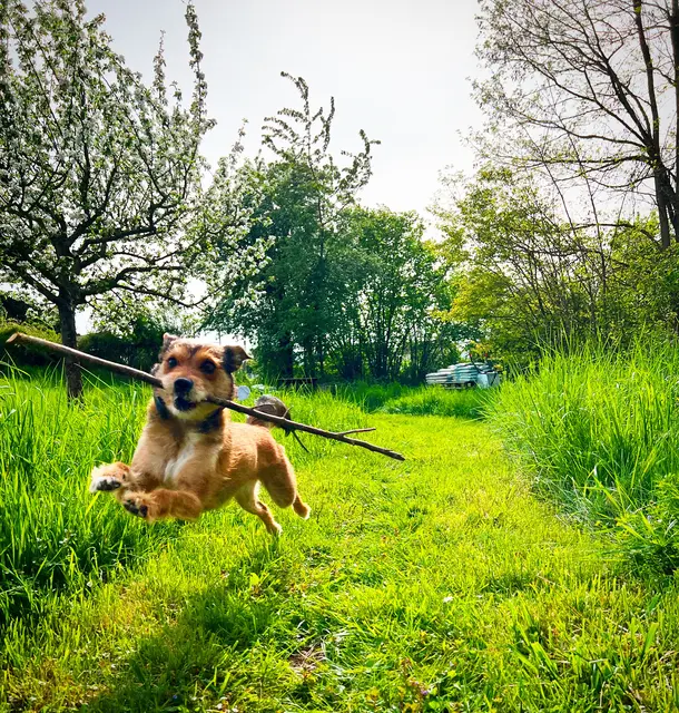 3 Ein Sonntag in Kirchheim an der Weinstraße | Foto: Tanja Hoffmann-Medardt