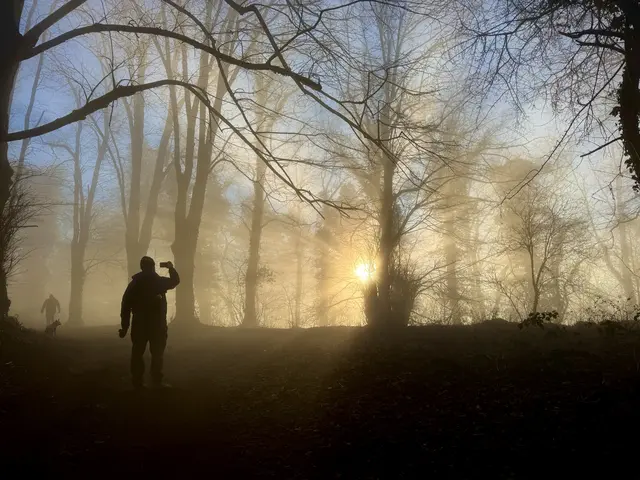 3 Auf dem Weg zur Madenburg - Eschbach im Dezember | Foto: Tanja Hoffmann-Medardt