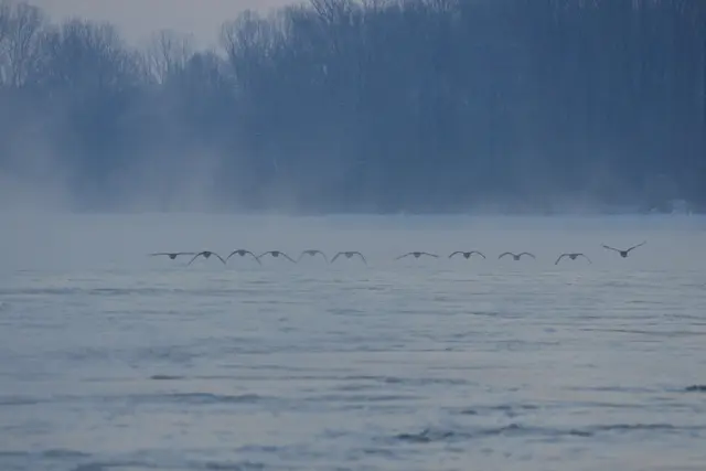 1 11 Freunde auf dem Rhein bei Speyer | Foto: Andreas Becht