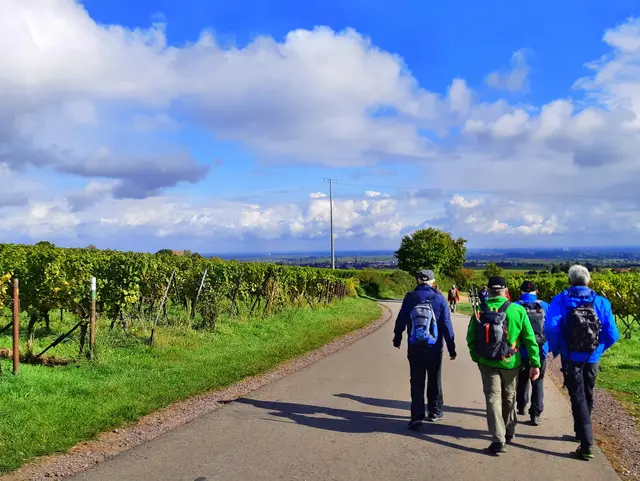 4 Wanderung durch die Weinberge bei Edenkoben | Foto: Gerhard Syring-Lingenfelder