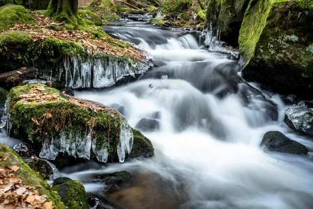5 Eiskalte Schönheit
Aufgenommen bei -15 Grad in der Karlstalschlucht bei Trippstadt | Foto: Wolfgang Simon