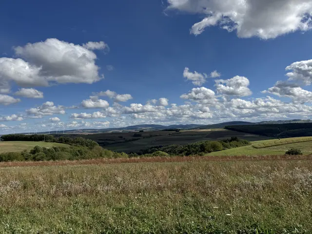 Donnersberg, 687 Meter höchster Berg der Pfalz, im September von der Lettweiler/Unkenbacher Höhe aus fotografiert | Foto: Arno Mohr