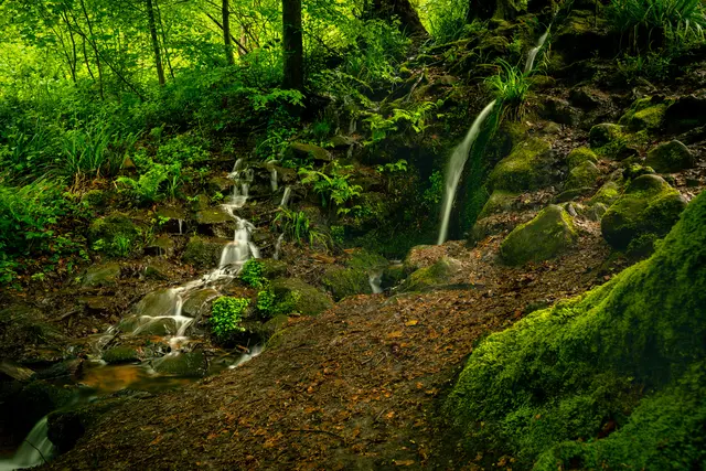 9 kleiner Wasserfall am Hilschweiher bei Edenkoben | Foto: Florian Bauer