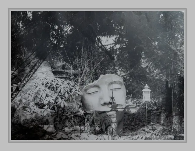 'Chris Metal Frame' von Bianca Staff | Foto: Bianca Staff