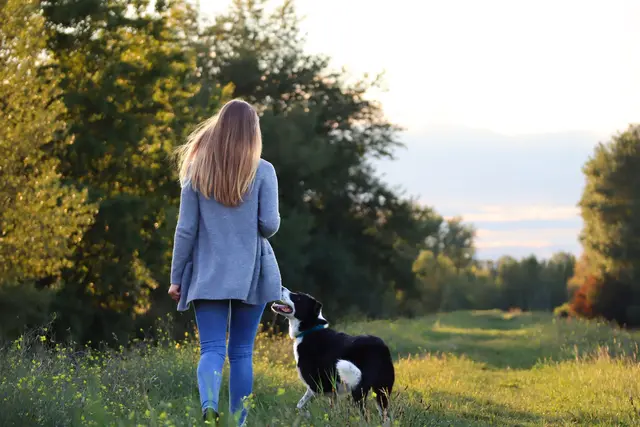 1 Goldener Lauf in die Abendsonne - Gemeinsam Richtung Sonnenuntergang 
Ort: Kollerinsel | Foto: Betsy Luisa Goyk