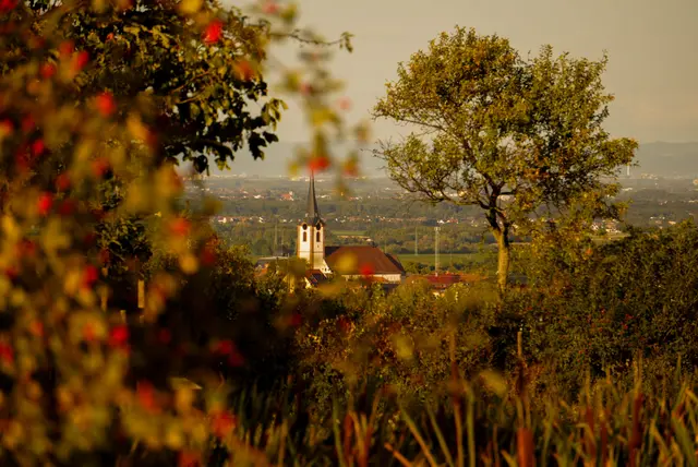 6 St. Martin in den Weinbergen mit Blick auf die Kirche St. Kosmas und Damian in Maikammer. | Foto: Sophie Wolf