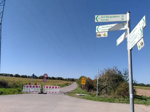 Nicht immer stehen die Absperrungen komplett, weil dort Baufahrzeuge hinein fahren. Aber hier beginnt die Umleitung, wenn man aus Mörlheim kommt. | Foto: E. Vortanz (adfc)