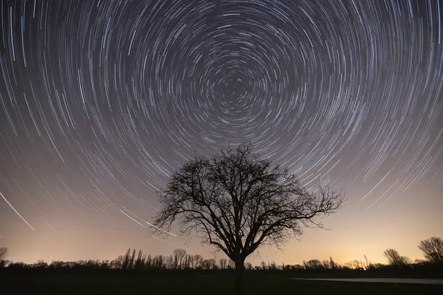 7 Baum mit Startrails-April | Foto: Georg Beck