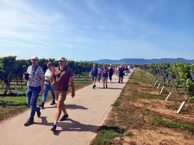 5 Fröhliche Wandergruppe | Foto: Gerhard Syring-Lingenfelder