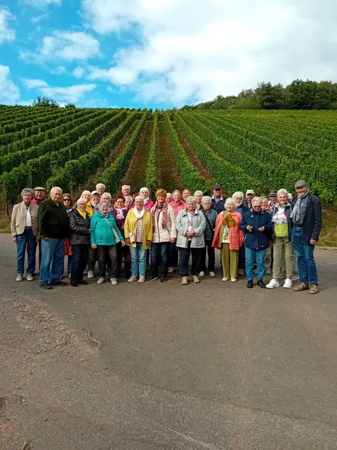 Landsenioren in den Weinberger in Kirschroth/LK KH bei der Weinlese | Foto: Landsenioren