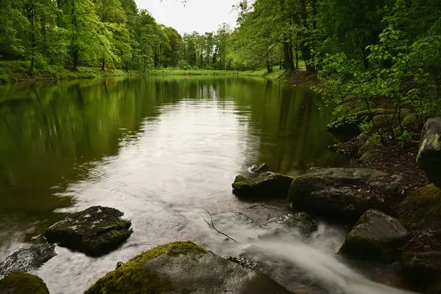 4 Hilschweiher in Edenkoben | Foto: Katrin Scherr