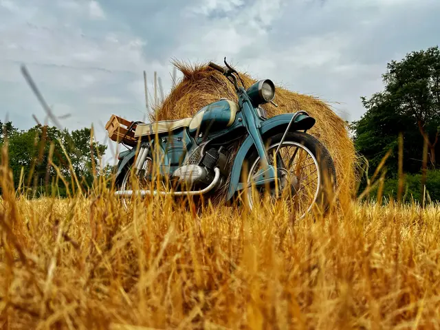 9 Zündapp Sport Combinette bei der „Heuernte“ in der Nähe von Lug | Foto: Ronnie Hammer