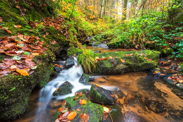 6 Herbst im Edenkobener Tal.
Aufgenommen bei Edenkoben im September. | Foto: Georg Beck