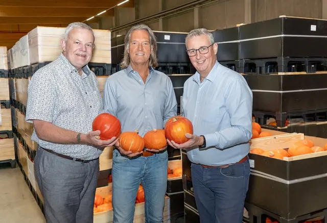 „Erntefrisch aus der Pfalz“ steht als Markenzeichen für Top-Qualität, Frische und eine exzellente Versorgungssicherheit, die – aufgrund der Nähe und hochmodernen Frischelogistik – auch besonders nachhaltig bei Verbrauchern und Partnern im Lebensmitteleinzelhandel (LEH) ankommt! Im Bild von links: Hans-Jörg Friedrich (Vorstand Organisation), der Aufsichtsratsvorsitzende Christian Deyerling sowie Reinhard Oerther (Vorstand Vertrieb). | Foto: Bildnachweis: Pfalzmarkt eG