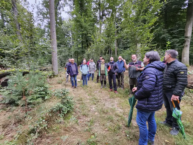 Die Position der Eichen ist auf einer Bestandskarte vermerkt, die jedes Jahr erneuert wird. Zu Beginn des Rundgangs zeigte Jens Heinz anhand der Karte die Position der Bäume, die man besichtigten wollte | Foto: Stadt Kaiserslautern
