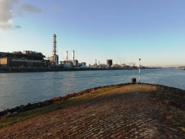 Blick von Rhein-Neckar-Mündung auf BASF (Hafenviertel Mannheim) | Foto: Julia Glöckner