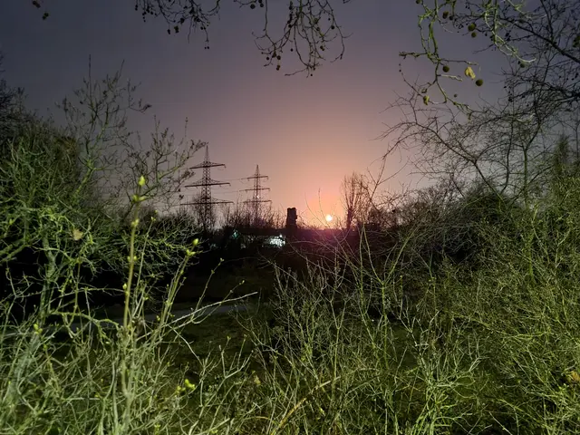 Bei einer vergangenen Fackeltätigkeit war die Fackel auch von Frankenthal aus gut sichtbar und erhellte den Nachthimmel / Archivfoto. | Foto: Gisela Böhmer