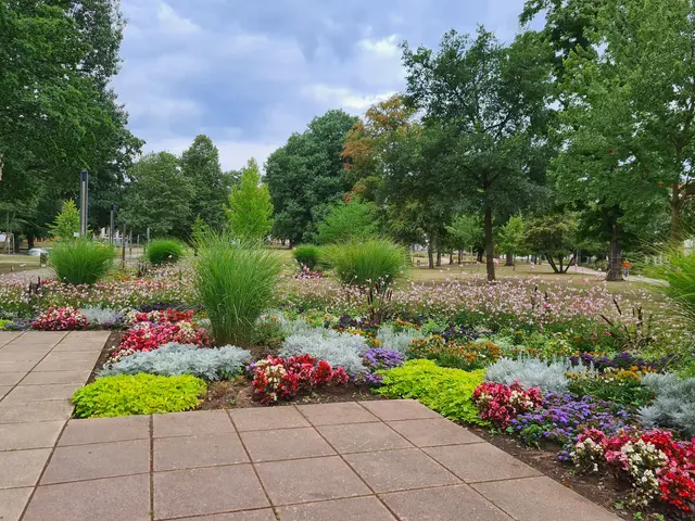 Im Stadtpark setzte sich der Streit des Paares fort und mündete schließlich in eine körperliche Auseinandersetzung zwischen den beiden | Foto: Ralf Vester