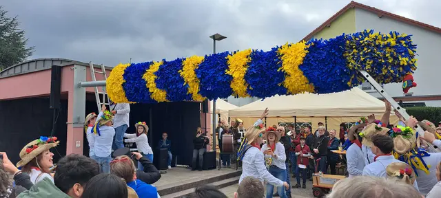 Hält die Halterung? Ja, sie hält. Geschickt hievten die Straußmädels und -burschen ihren geschmückten Stamm in die Höhe | Foto: Monika Klein