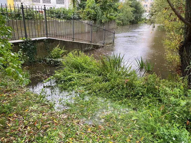 An der Wallgasse trat der Speyerbach leicht über das Ufer | Foto: Stadtverwaltung Neustadt