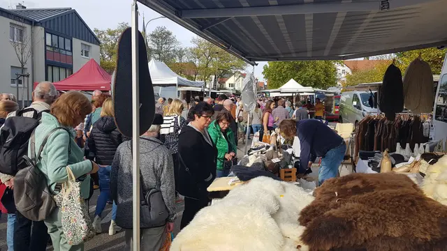 Es gibt viel zu entdecken. Besucher genießen die vielfältigen Angebote des Biosphären-Bauernmarkts in Maikammer. | Foto: Eva Bender