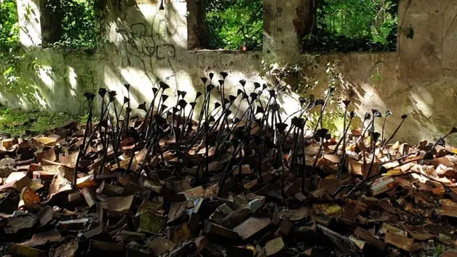 Die Installation „Soleils noirs 1“ aus dem Jahr 2024 der Künstlerin Corine Kleck, einer der Ausstellenden in Annweiler und Wissembourg.  | Foto:  Kleck 