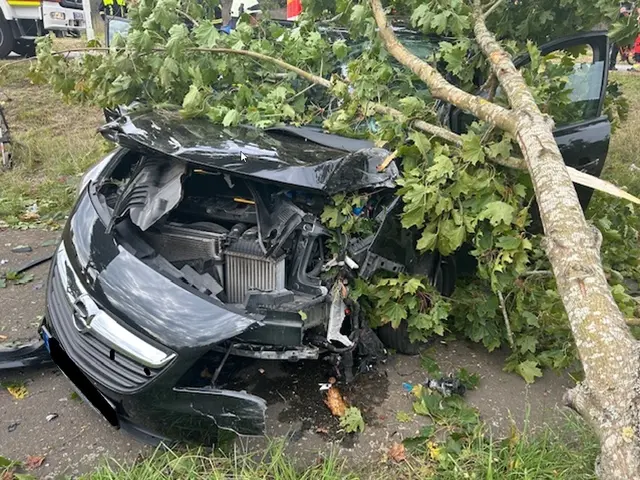 Das Fahrzeug prallte mit der linken Frontpartie gegen einen Baum | Foto: Polizeiinspektion Rockenhausen