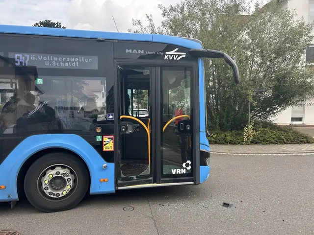 Schulbus | Foto: pol/frei