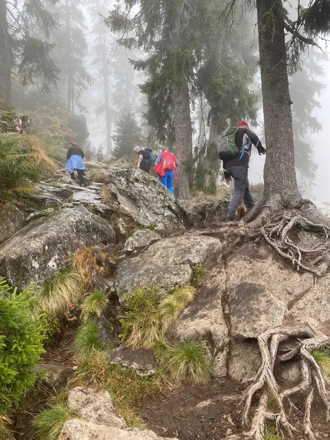 auf dem Weg zum Arbergipfel | Foto: Ich