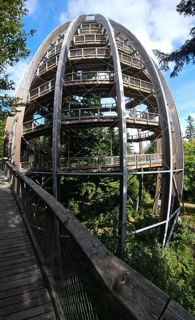 Baumwipfelpfad | Foto: Ich