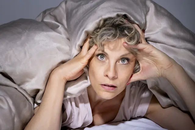 Anna Schäfer "Schlafende Hunde" Ein hochkomischer Nachtflug | Foto: Bernd Brundert