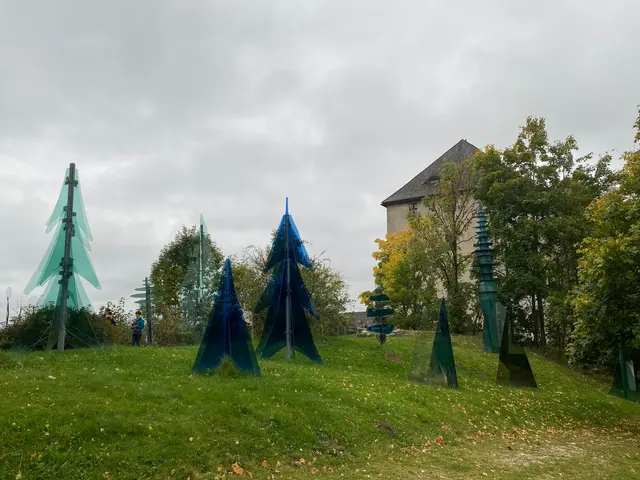 Gläserner Wald | Foto: Ich