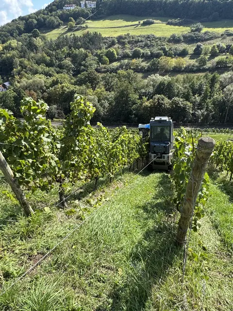 Steillagen-Vollernter mit Stahlseilsicherung  | Foto: Arno Mohr 