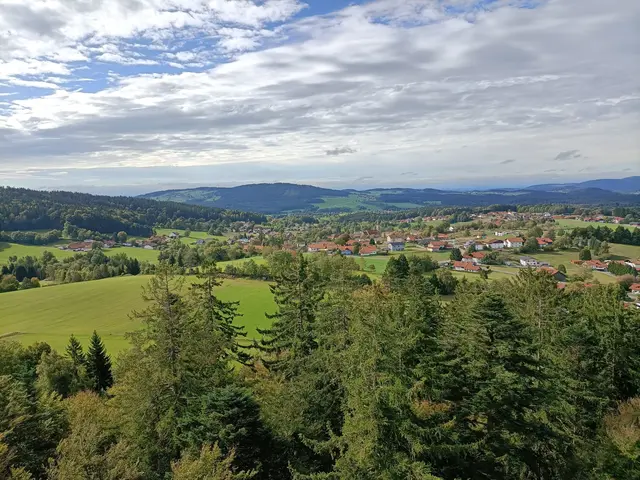 Baumwipfelpfad 3 | Foto: Ich