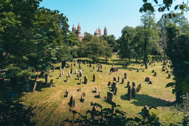Der jüdische Friedhof in Worms. | Foto: Stadt Worms