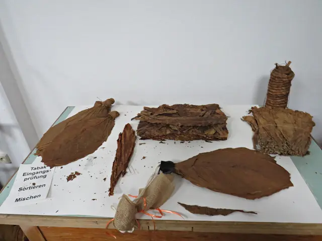 Foto: Brigitte Melder