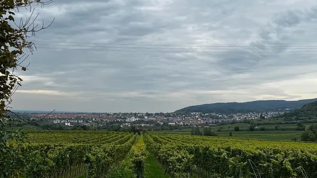 Ein schöner Blick vom Annaberg auf Bad Dürkheim. Etwas Sonnenschein hätte man gerne genommen, aber war zufrieden, dass es trocken blieb. | Foto: MTC