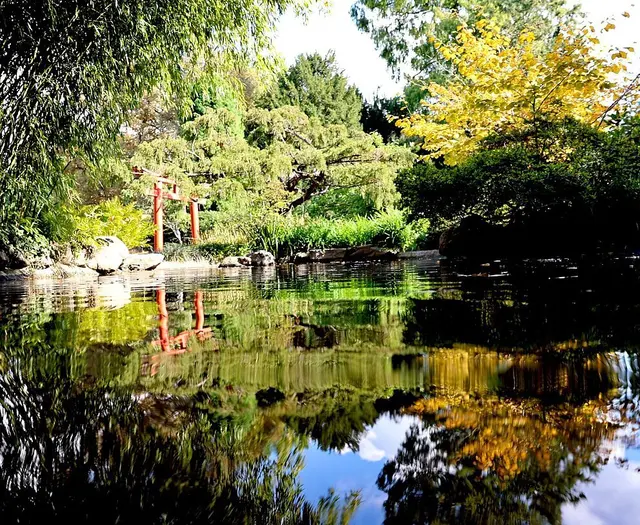 Der Japangarten erstrahlt aktuell in herbstlichen Farben | Foto: Zoo Karlsruhe, Timo Deible