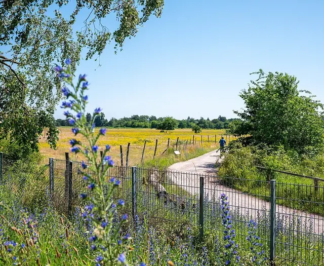 Blick auf das Gelände am Alten Flugplatz | Foto: Stadt Karlsruhe, Monika Müller-Gmelin