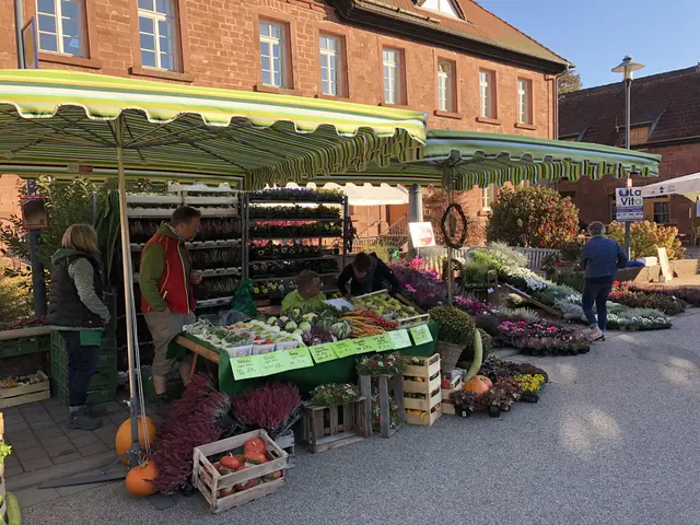 Bauern- und Handwerkermarkt in Schönau | Foto: Müller