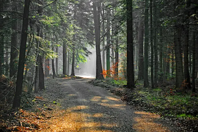 Foto: Klaus Eppele
