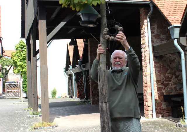Kurt Klemm beim Anbringen einer Futterspirale, die mit Meisenknödeln ohne Netz befüllt ist.
 | Foto: Schäfer