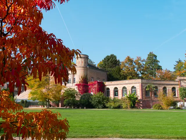 Der Schlossgarten färbt seine Blätter bunt und lädt Besucherinnen und Besucher ein besondere Herbstmomente zu erleben. | Foto: KTG Karlsruhe Tourismus GmbH